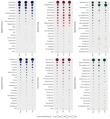 The Vestfold Hills are alive: characterising microbial and environmental dynamics in Old Wallow, eastern Antarctica